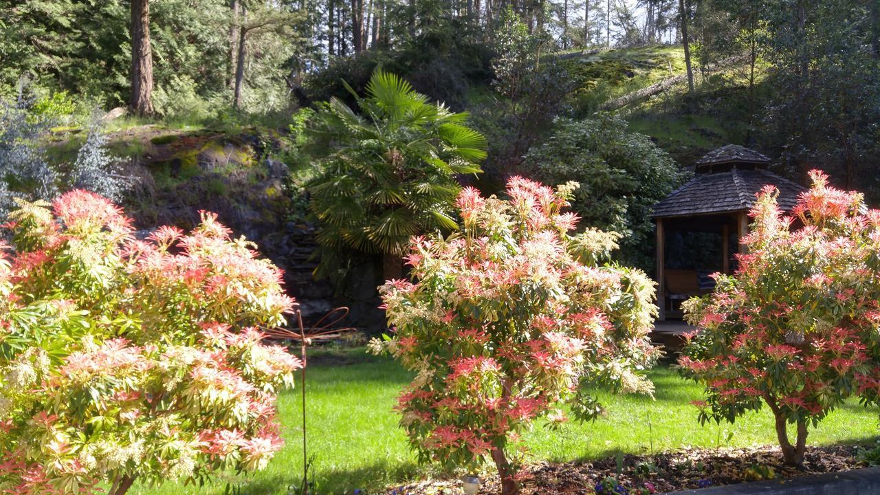 Sunshine Coast Treetop B&B Sechelt Εξωτερικό φωτογραφία