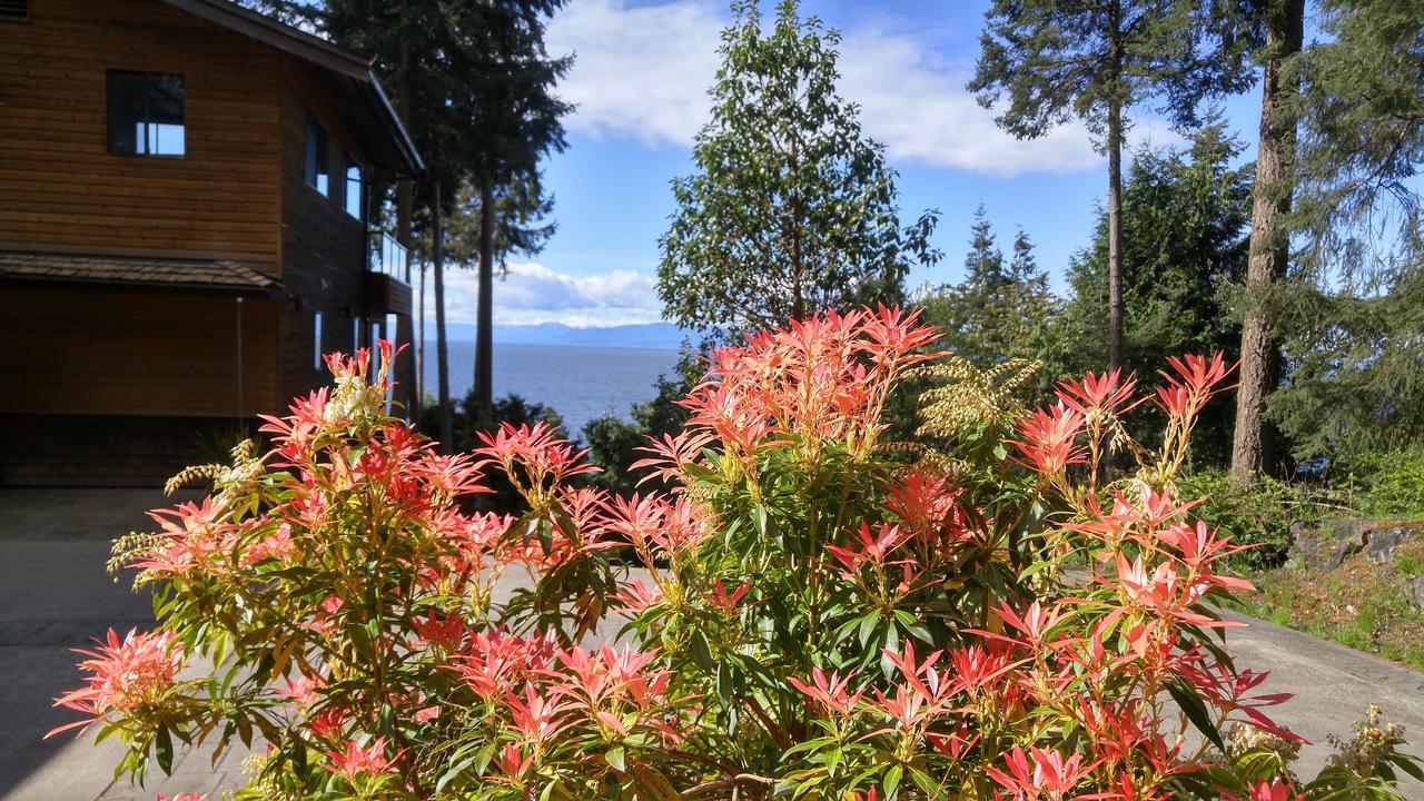 Sunshine Coast Treetop B&B Sechelt Εξωτερικό φωτογραφία