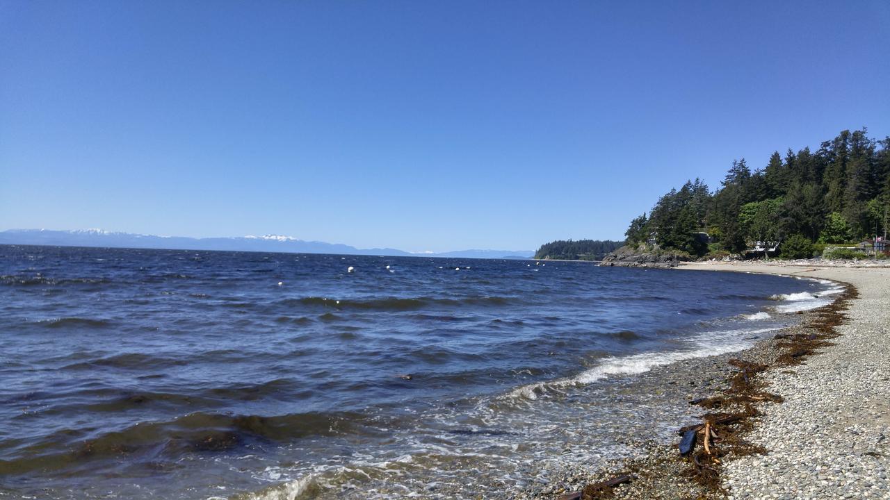 Sunshine Coast Treetop B&B Sechelt Εξωτερικό φωτογραφία