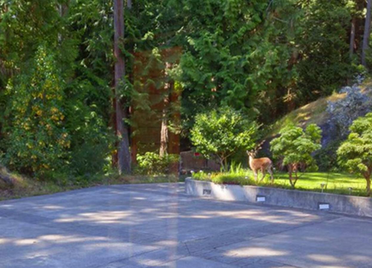 Sunshine Coast Treetop B&B Sechelt Εξωτερικό φωτογραφία