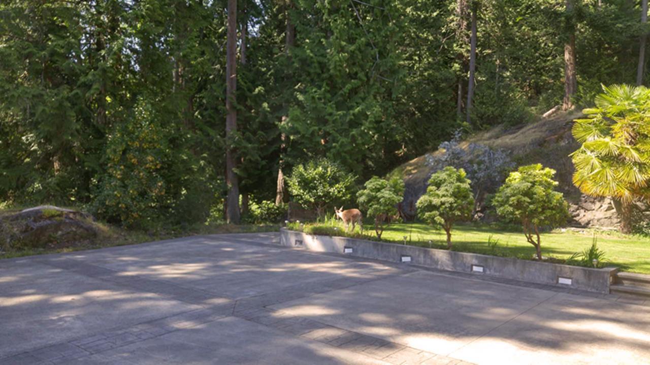 Sunshine Coast Treetop B&B Sechelt Εξωτερικό φωτογραφία
